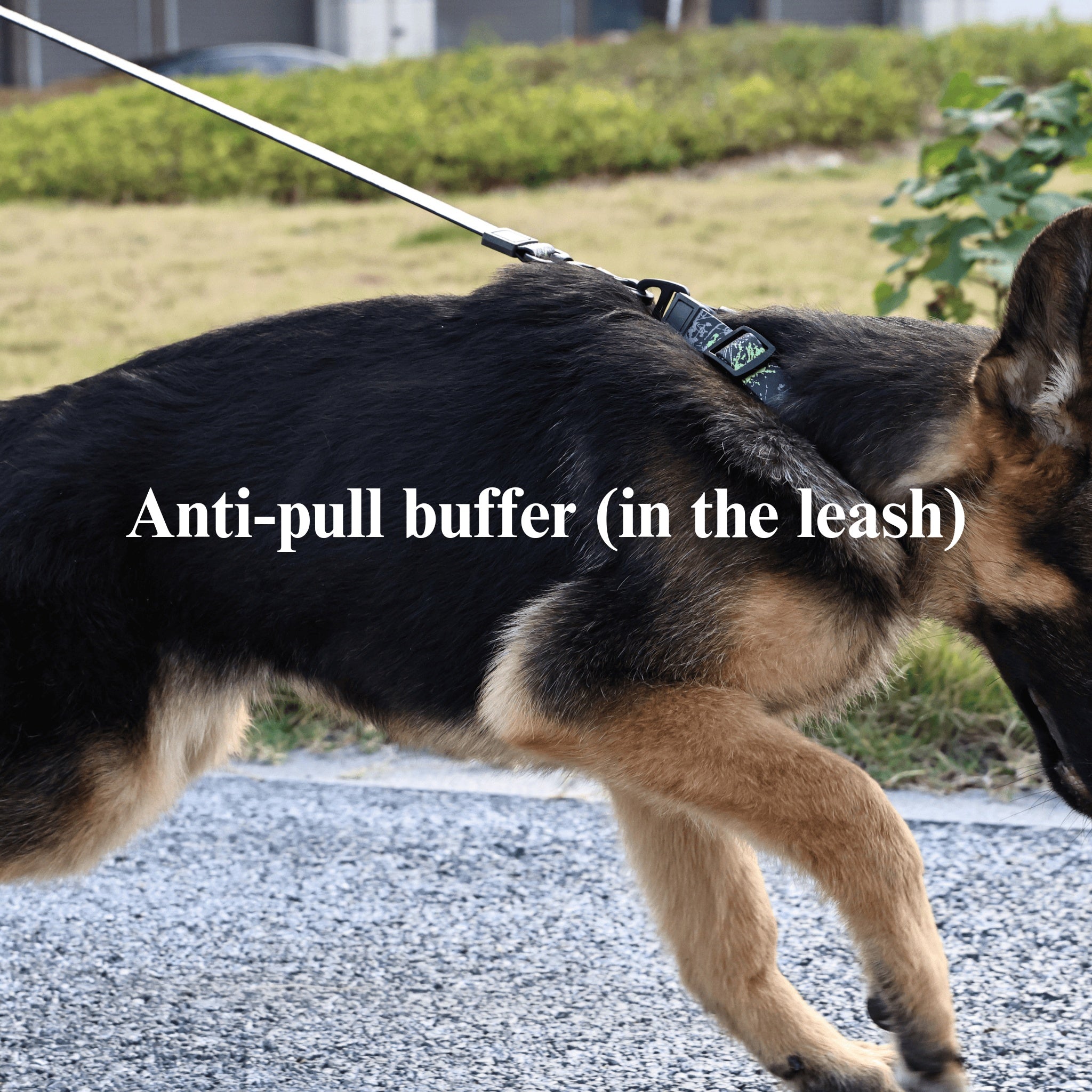 UV Printing Camouflage Embossed Pet Leash Set Is A Perfect Combination Of Style And Functionality Specially Designed For Pets' Outdoor Activities. Every Detail From Craftsmanship To Material Selection