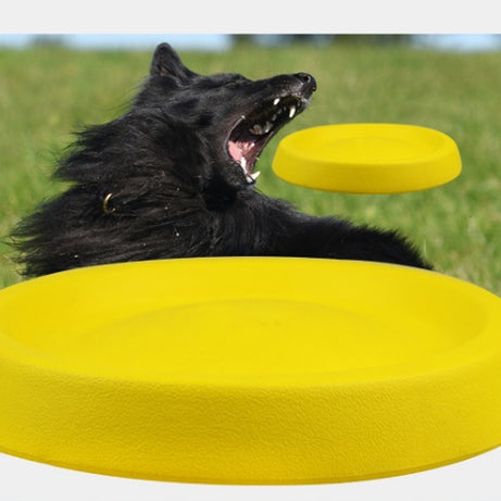 Pet Dogs Throwing Plastic Toys
