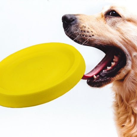 Pet Dogs Throwing Plastic Toys