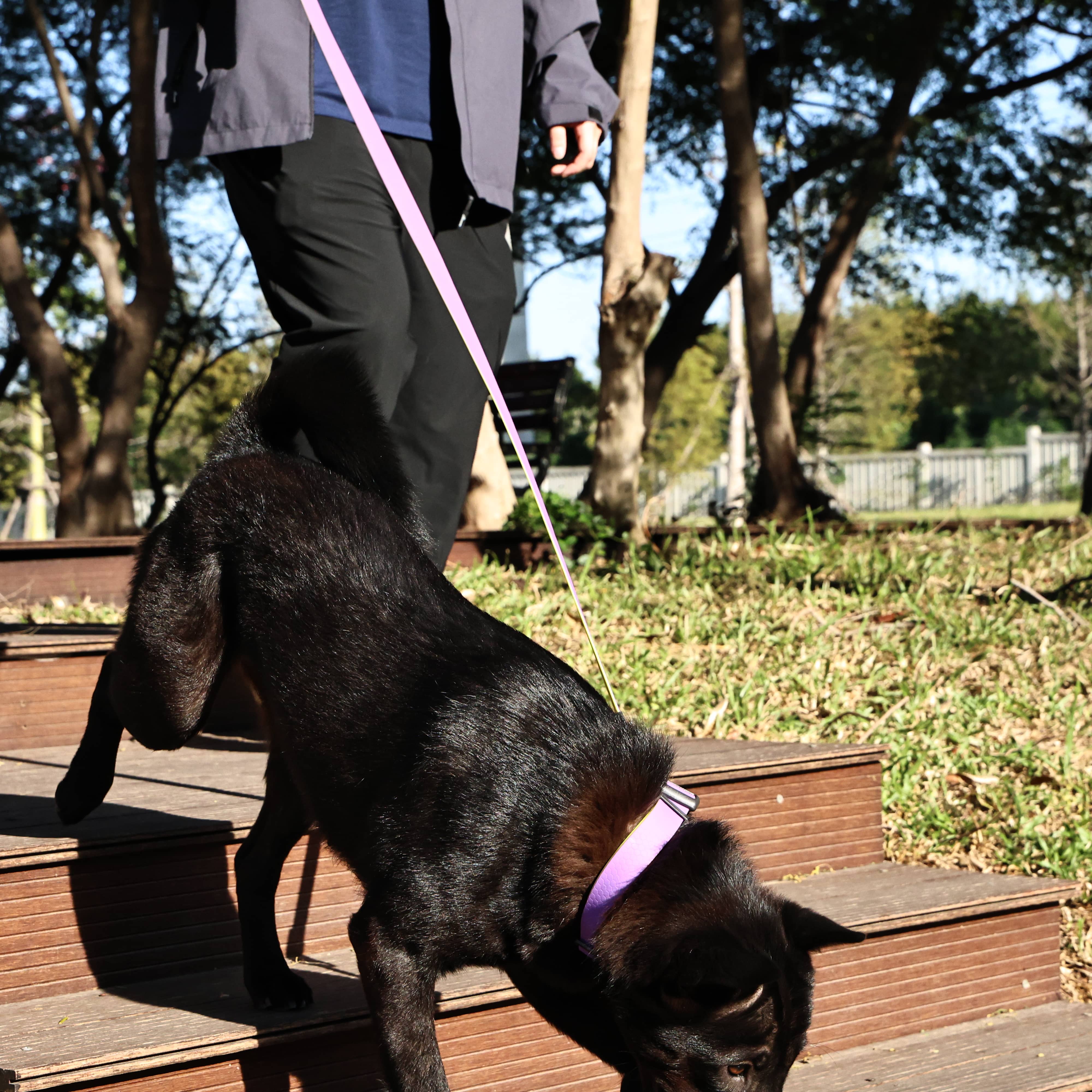 Honeycomb Embossed Dual-Color Pet Leash Set Is Stylish And Fashionable. The Embossed Surface Enhances The Leash's Grip, Preventing Slippage When Held. The Product Is Waterproof, Wear-resistant, Odor-r