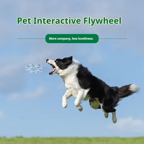 Pet Interactive Flywheel,Dog Frisbee Toy,Fun Interactions Buildstronger Bonds