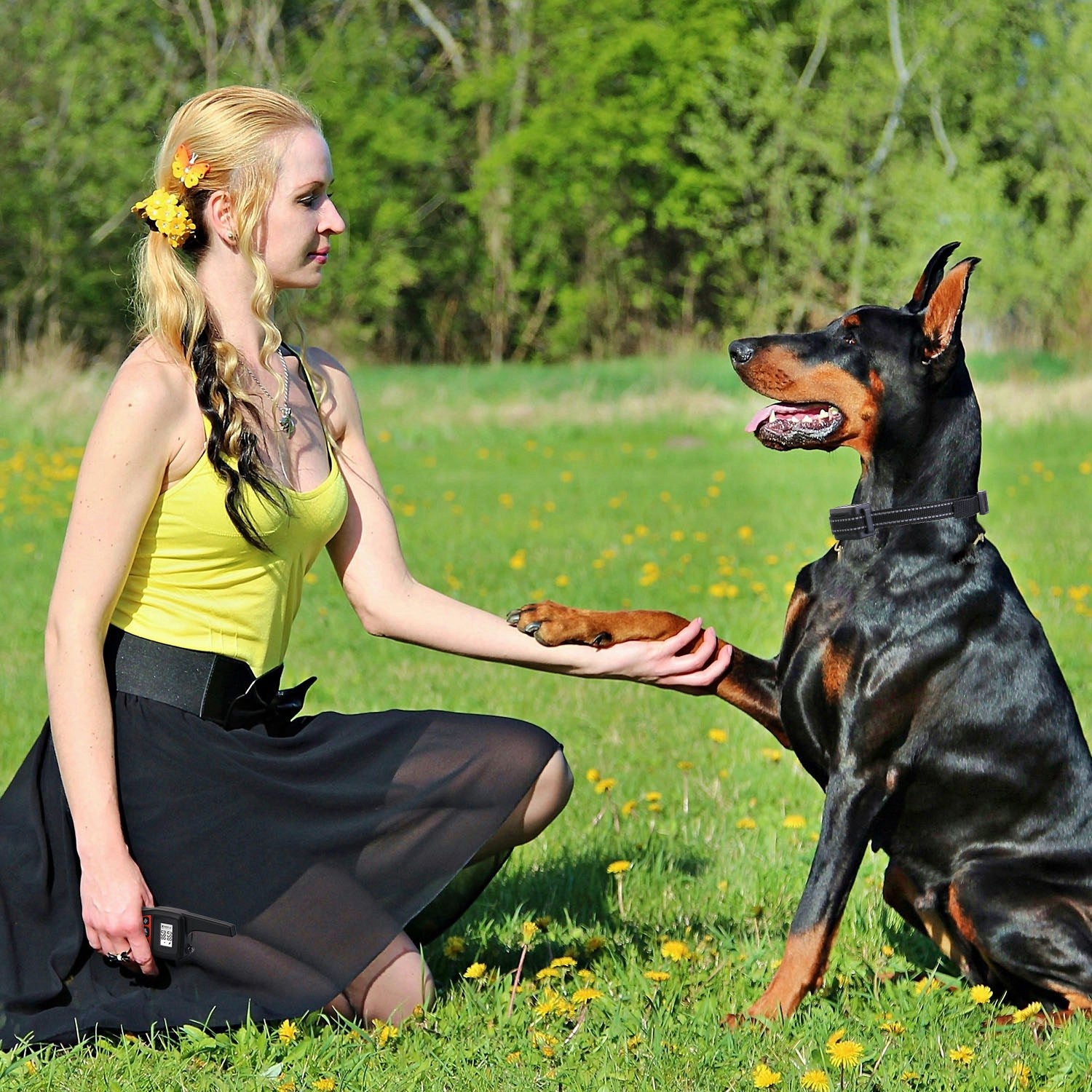 Train Collar OR Receiver Only Options - 3280FT Dog Training Collar IP67 Waterproof Pet Beep Vibration Electric Shock Collar 3 Channels Rechargeable Transmitter Receiver Trainer With Flashlight