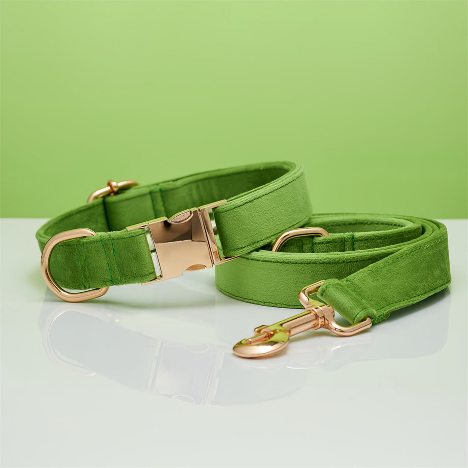 Multiple Colour Velvet Personalise Dog Collar Leash Set With Bow