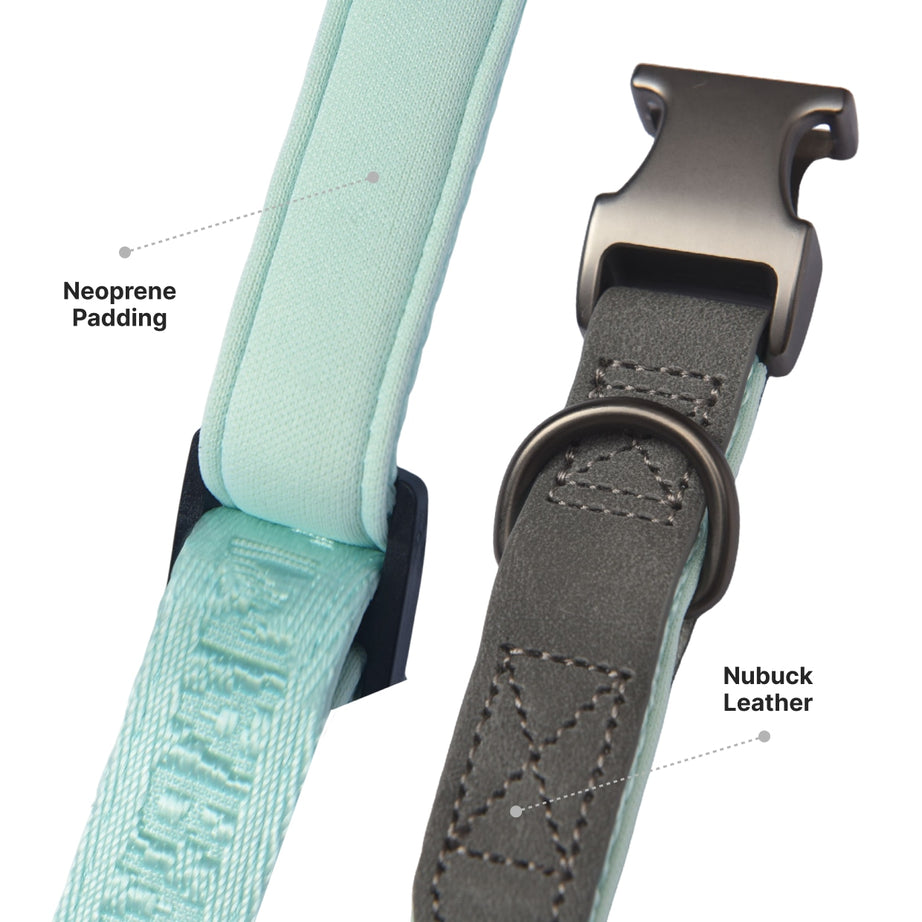 PETMARVEL Heavy Duty Solid Dog Collar Neoprene Padded 1 In Wide