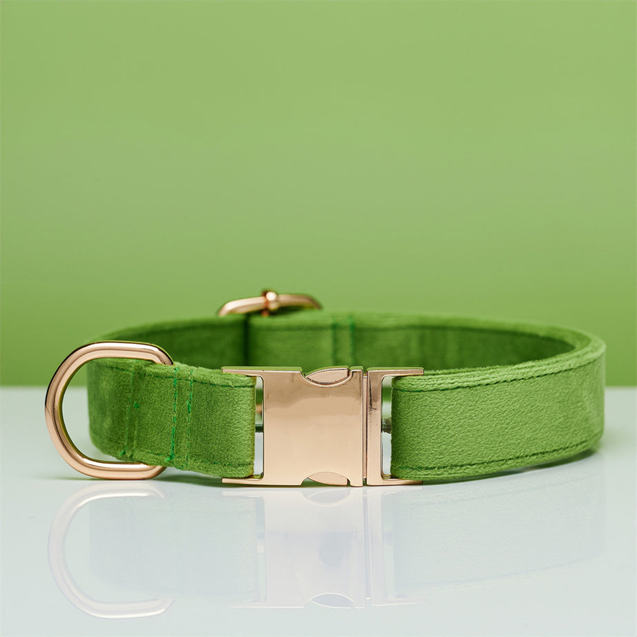 Multiple Colour Velvet Personalise Dog Collar Leash Set With Bow